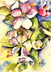 Flores de manzano en primavera