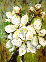 Flores blancas de primavera