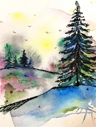 Un amanecer vibrante en el bosque