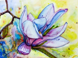 Una flor de magnolia de colores vivos
