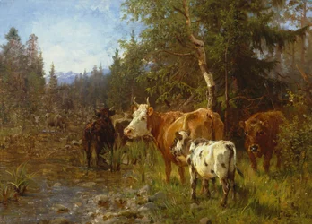 Vacas junto al puesto de agua.