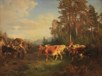 Ganado de camino a casa