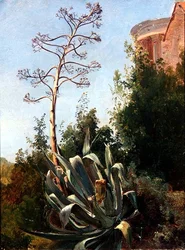 Paisaje; sur de Italia