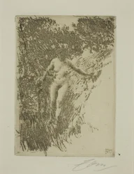 Leña