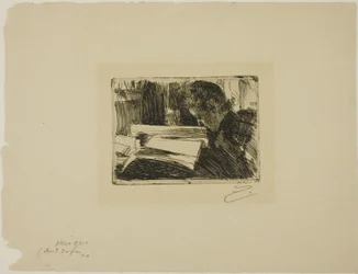Dama leyendo (Sra. Zorn)