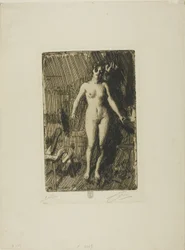 Modelo de pie