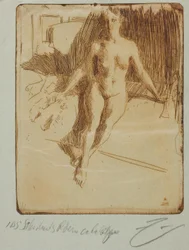 Estudio de modelo