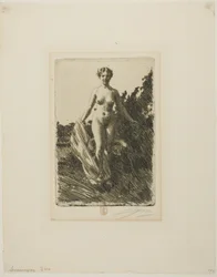Verano