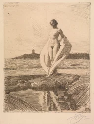 El cisne