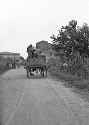 UVAS AMARGAS - IR Y VOLVER DEL TRABAJO