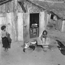 LOS NIÑOS LAVAN LA TELA, Crotone