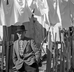 CROTONE - RETRATO DEL HOMBRE