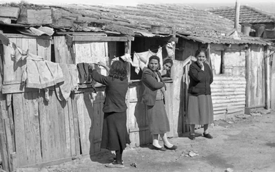 CROTONE - MUJERES EN PERSIANAS,