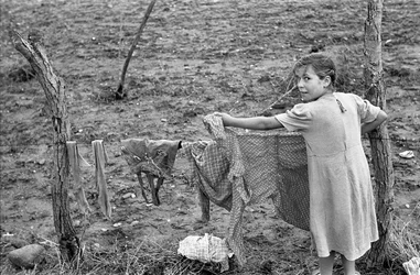 CAMPAÑA DE CROTONE - TENDIDO DE ALAMBRE DE ESPINO,
