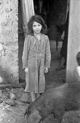 CAMPO DE CROTONE - NIÑA Y CERDO