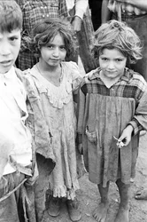 Niños a la espera de ser empleados como recolectores de nueces en Qualiano, Nápoles, Campania, Italia.