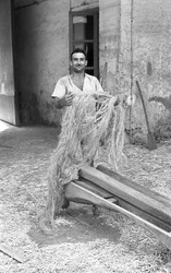 TRANSFORMACIÓN DEL CÁÑAMO, EL MACIULLATORE