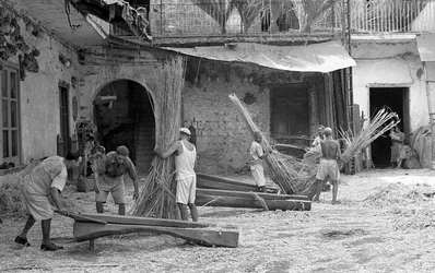 TRANSFORMACIÓN DEL CÁÑAMO, LA PARANZA DE LOS MACIULLATORI