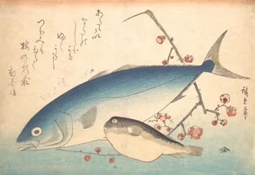 Fugu y pez Inada, de la serie Uozukushi Cada variedad de pez, 1840s