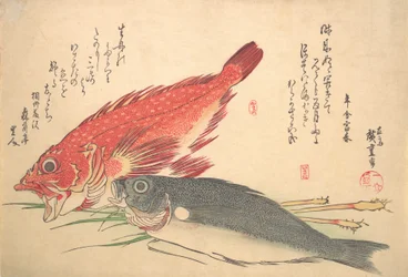 Isaki y Kasago Fish, de la serie Uozukushi Every Variety of Fish, 1830s