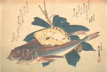 Kanagashira y Karei Fish, de la serie Uozukushi Cada variedad de pez, 1830s