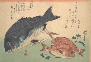 Kurodai y Kodai con brotes de bambú y bayas, de la serie Uozukushi Every V..., 1830s