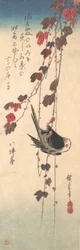 Mito de cola larga en hiedra otoñal, ca. 1835