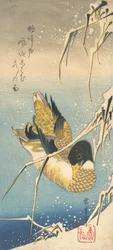Pato mallard y juncos cubiertos de nieve, ca. 1832