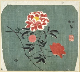 Abanico: Rosa