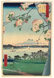 Bosque del Santuario Suijin y Masaki en el río Sumida, 1856, 8º mes