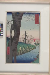 Koganei en la provincia de Musashi (Musashi Koganei) (xilografía en color)
