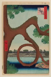 Pino Luna, Ueno