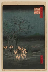 Hogueras de Nochevieja en el Árbol Cambiante, Oji