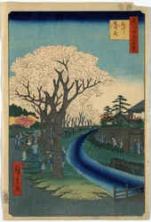 Grabado de Ando Hiroshige que muestra a los visitantes contemplando los cerezos en flor a orillas del río Tama, en Edo.