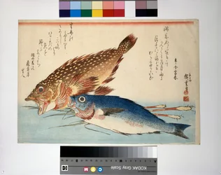 Cabracho e isaki con raíz de jengibre