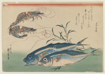 Dos Camarones con Dos Jureles, c.1832-33