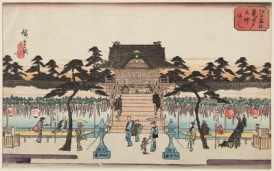 Glicinas en el santuario Kameido Tenjin (Kameido Tenjin fuji)