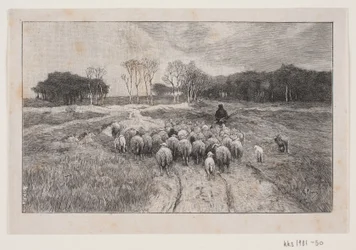 Paisaje con ovejas y pastor