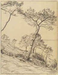 Paisaje