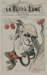Darwin como mono en La Petite Lune