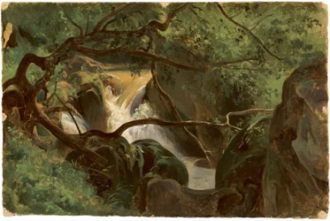 Interior del bosque con una cascada, Papigno, 1825-1830