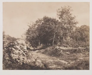 Untitled (Scene of Fontainbleau)