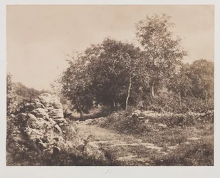 Escena sin título de Fontainebleau, c. 1853