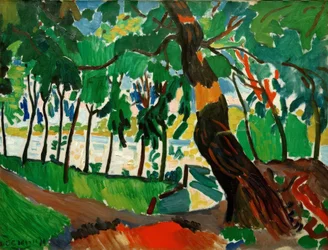 Árbol, paisaje de ribera