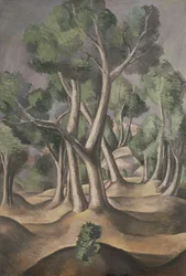 La arboleda