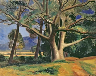 El gran árbol, c.1929-30 (óleo sobre lienzo) (véase también 287578)
