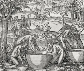 Cap de Frie, mujeres preparando comida, grabado, América del Sur