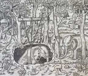 Caza de elefantes en la isla de Java, grabado de Cosmología Universal, por Andre Thevet (1504-1592), París