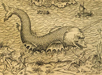 Monstruo marino, grabado de Cosmología Universal, por Andre Thevet (1504-1592), París