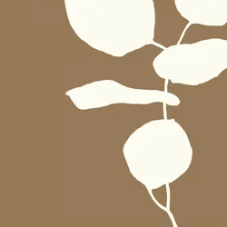 Formas botánicas minimalistas